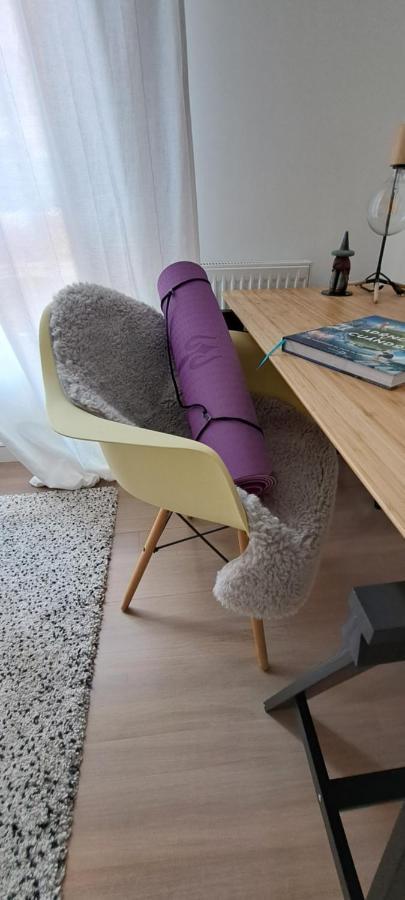 Apartment Con Suite, Zona De Trabajo Y Yoga Wifi Y Garaje